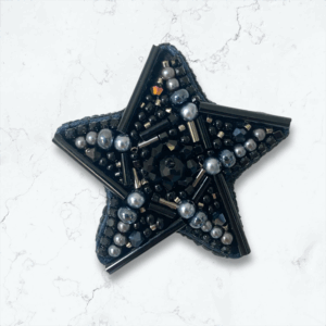 Etoile de mer noire