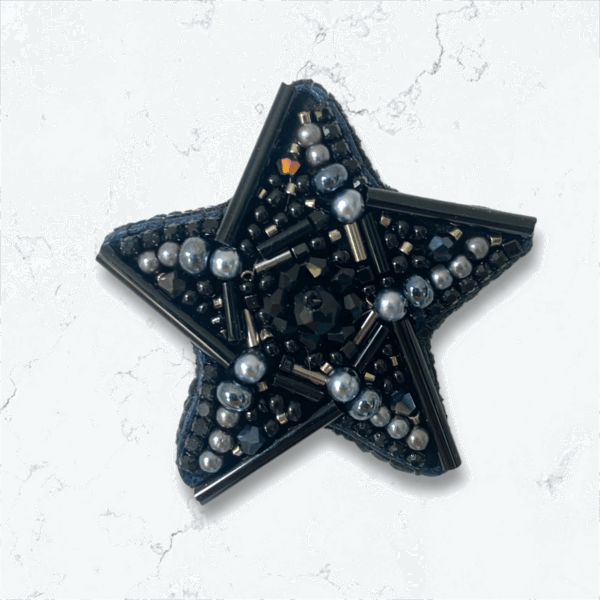 Etoile de mer noire