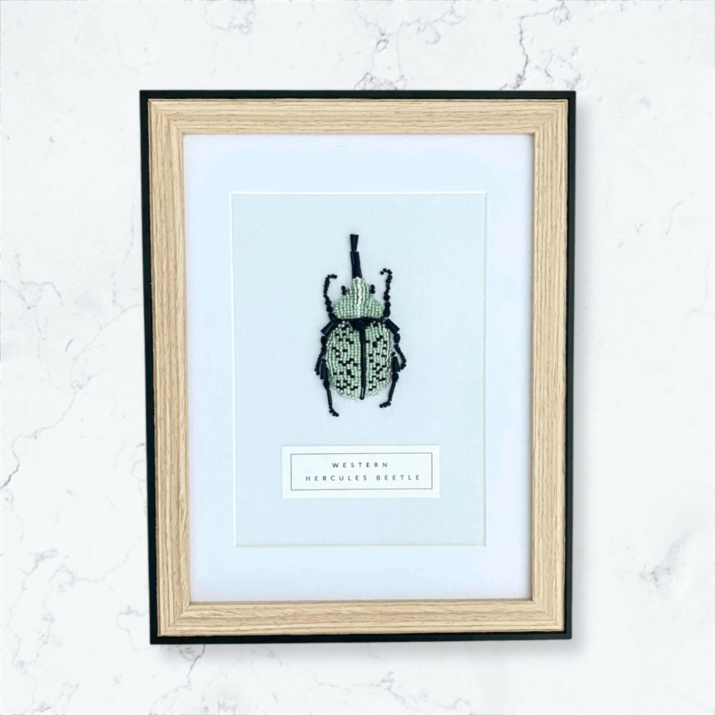 Western Hercules Beetle