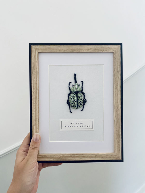 Western Hercules Beetle – Image 2