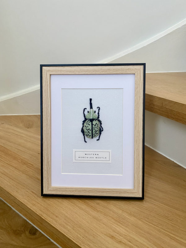 Western Hercules Beetle – Image 3