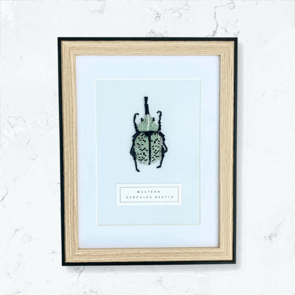 Western Hercules Beetle